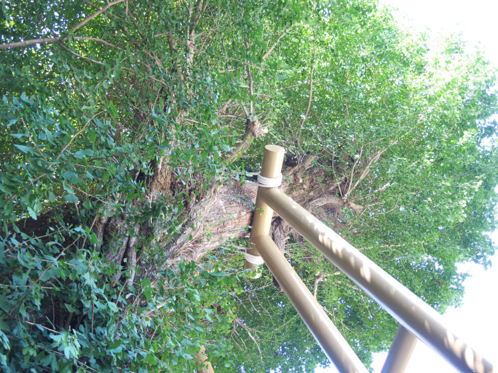 湯河原 五所神社