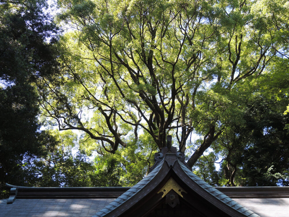 湯河原 五所神社
