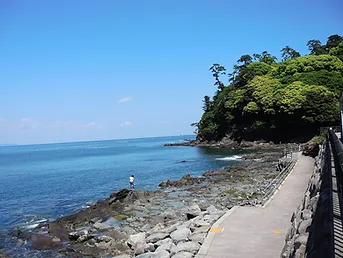 真鶴 琴ヶ浜海岸