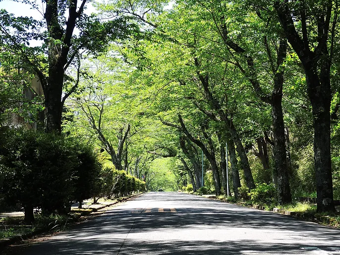 熱海 西熱海別荘地