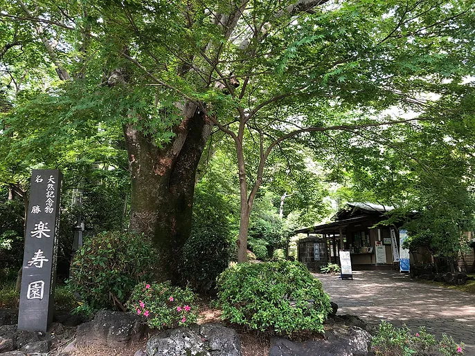 三島市立公園 楽寿園