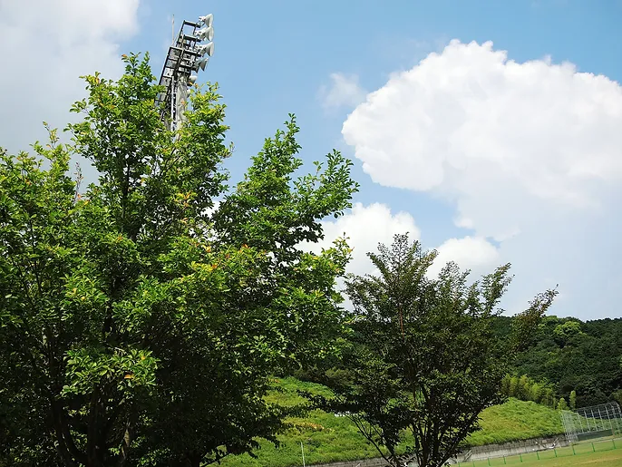 湯河原総合運動公園 ゆめ公園