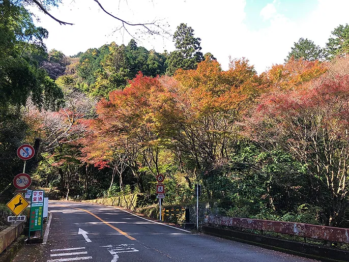 奥湯河原 紅葉