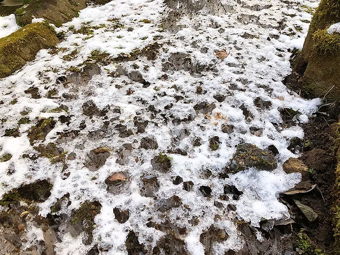別荘管理 凍結防止対策