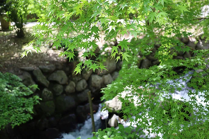 熱海梅園