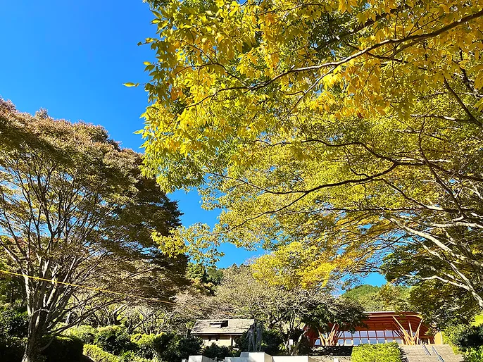 熱海 姫の沢公園