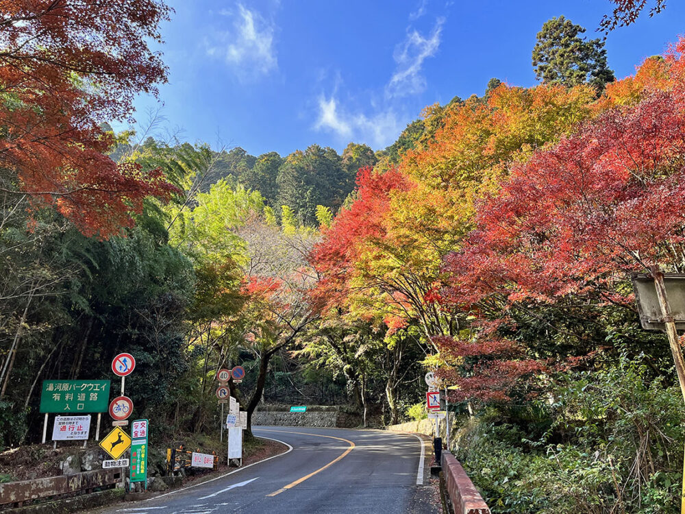 奥湯河原