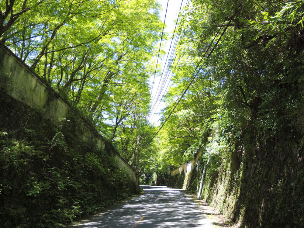 奥湯河原