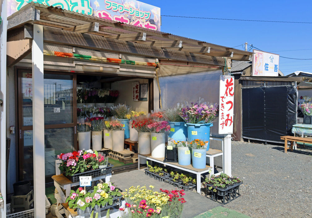 南房総市千倉町 お花畑