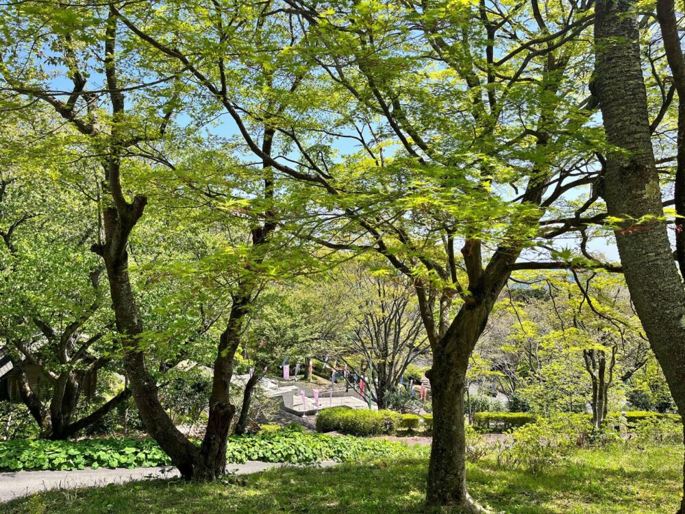 熱海 姫の沢公園