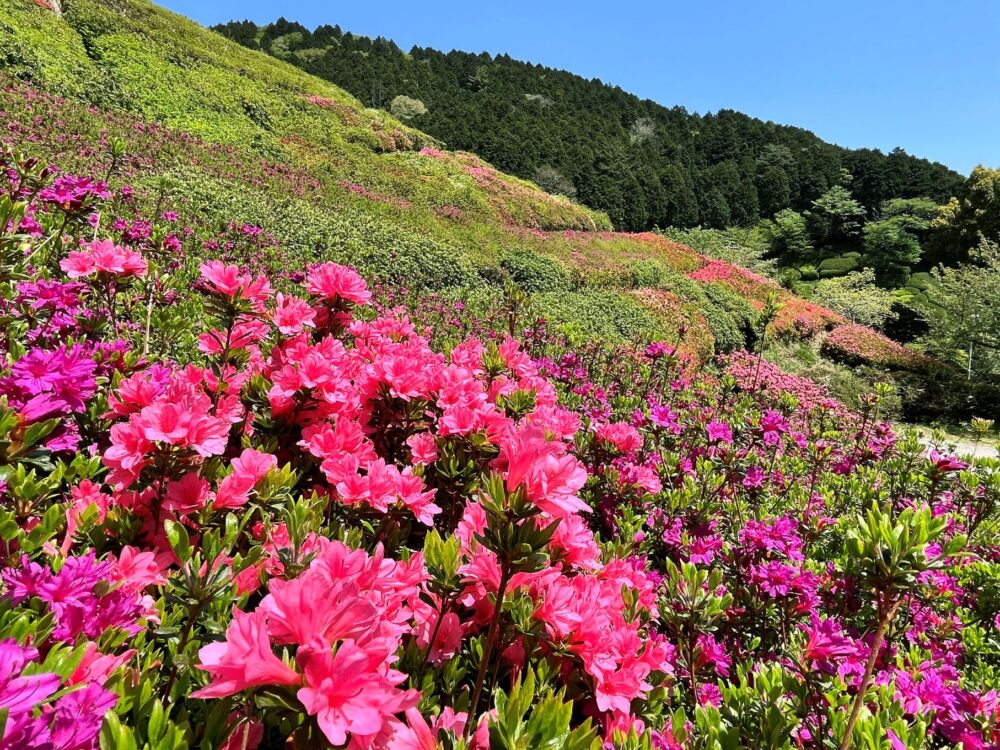 熱海 姫の沢公園