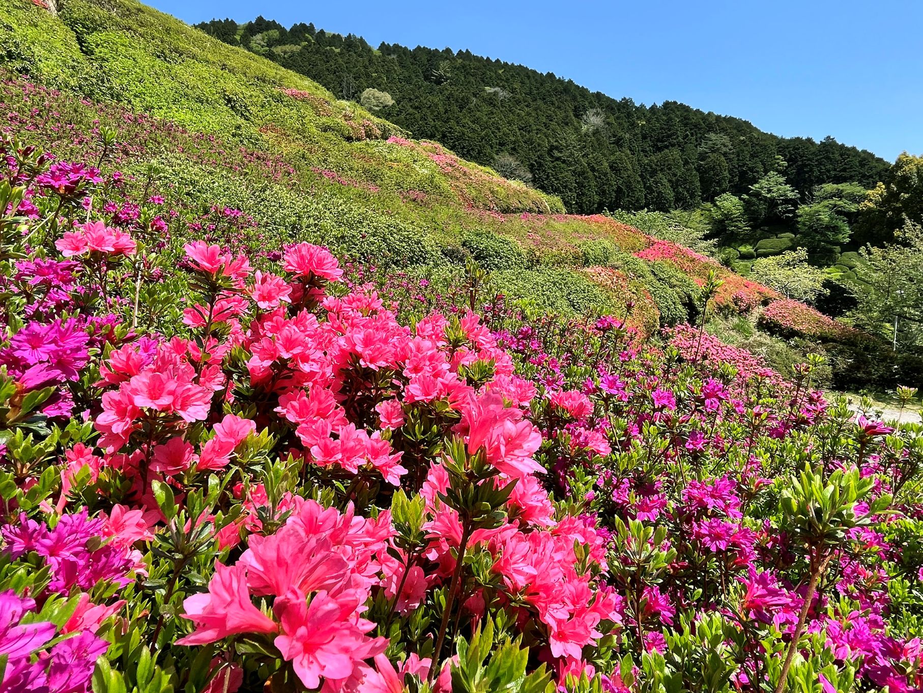 熱海 姫の沢公園