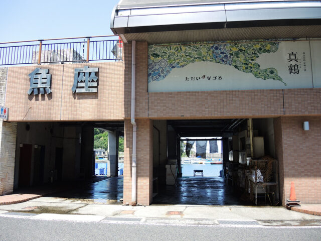 真鶴 魚座