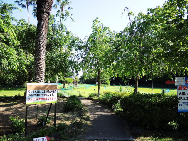 真鶴 お林展望公園