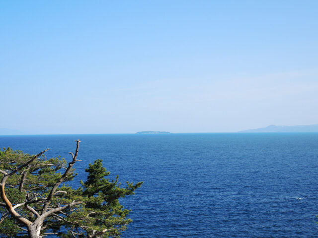 真鶴 お林展望公園