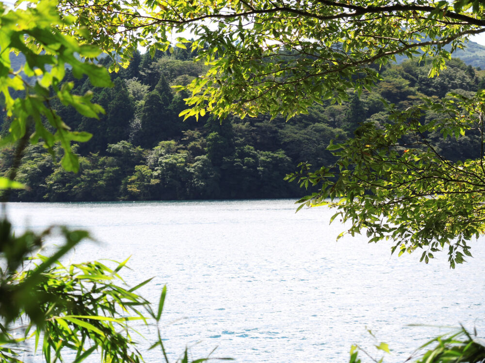 箱根 芦ノ湖