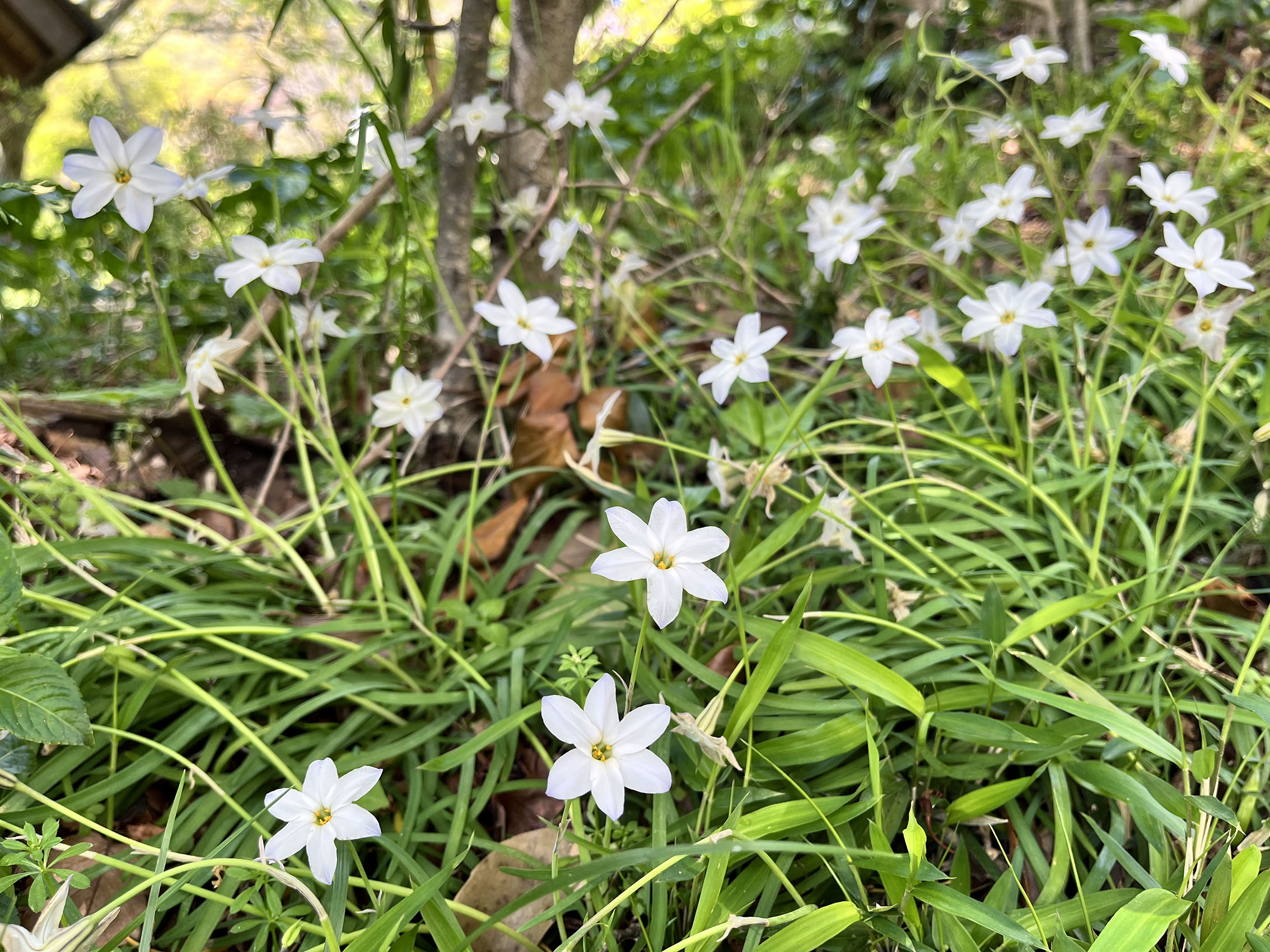 熱海 姫の沢公園