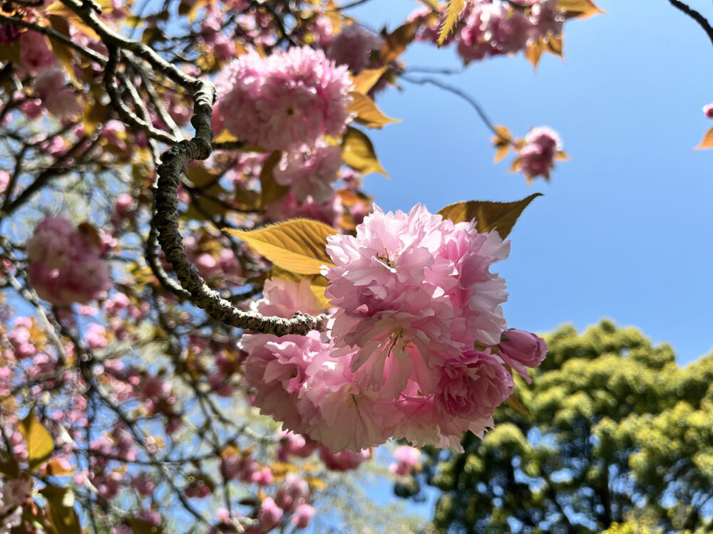 熱海 姫の沢公園