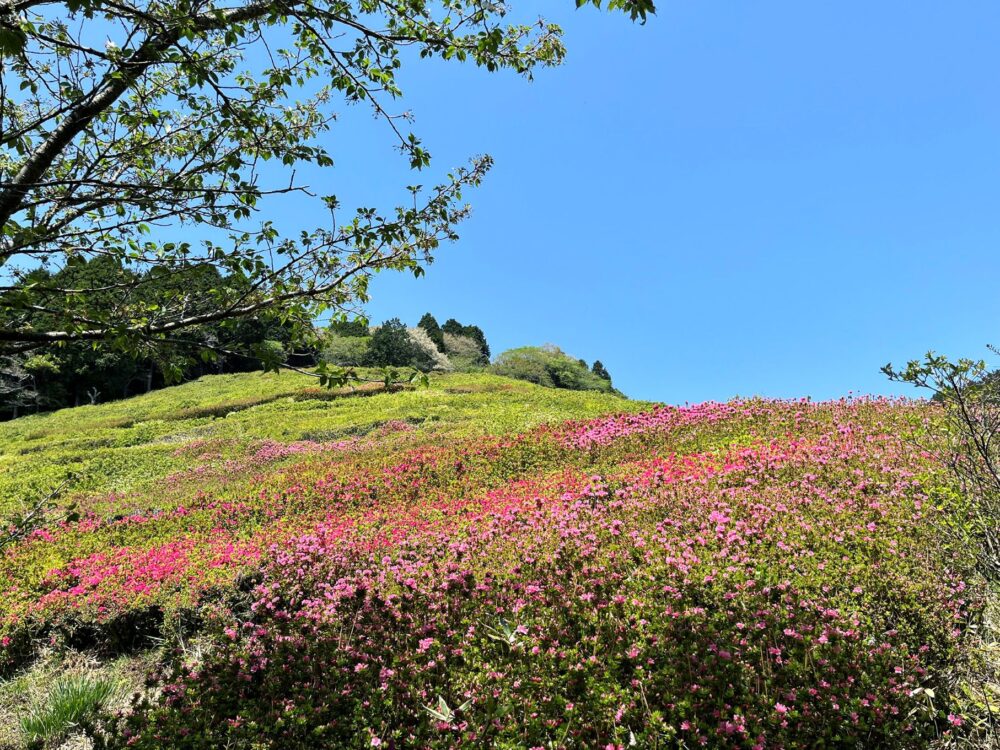 熱海 姫の沢公園