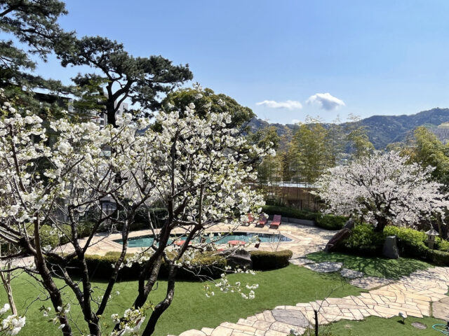 アデニウム熱海翠光園