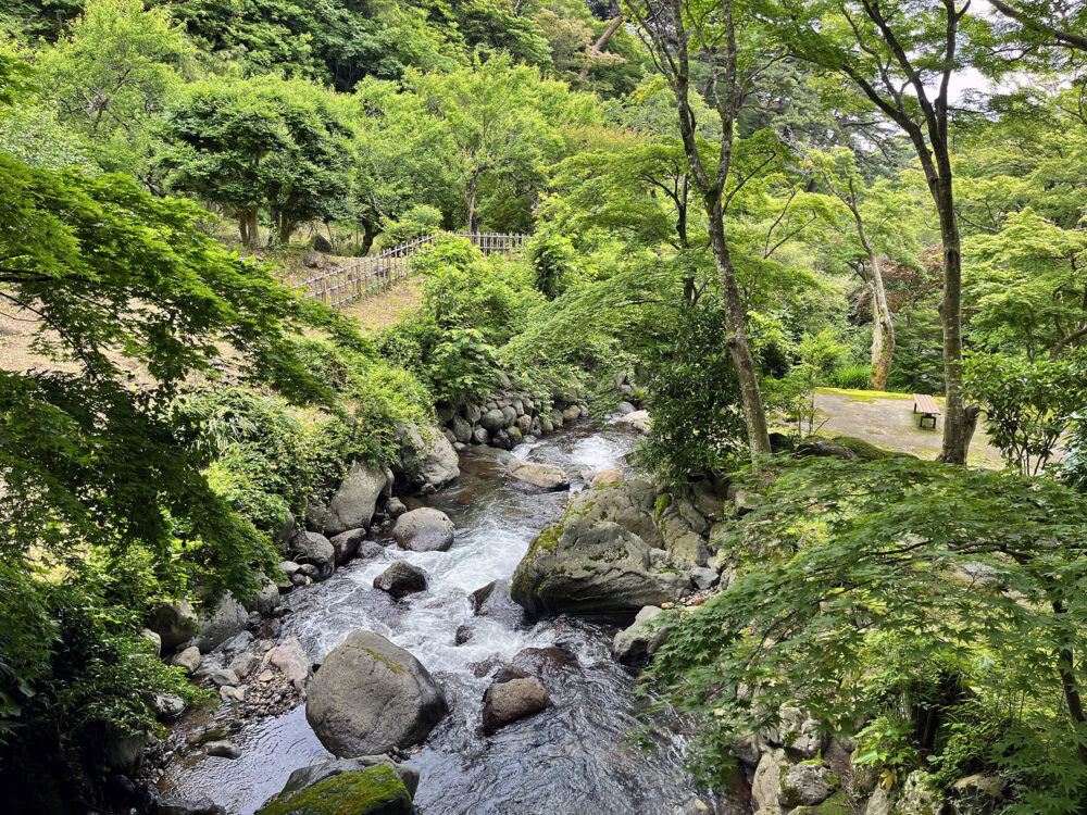 熱海梅園