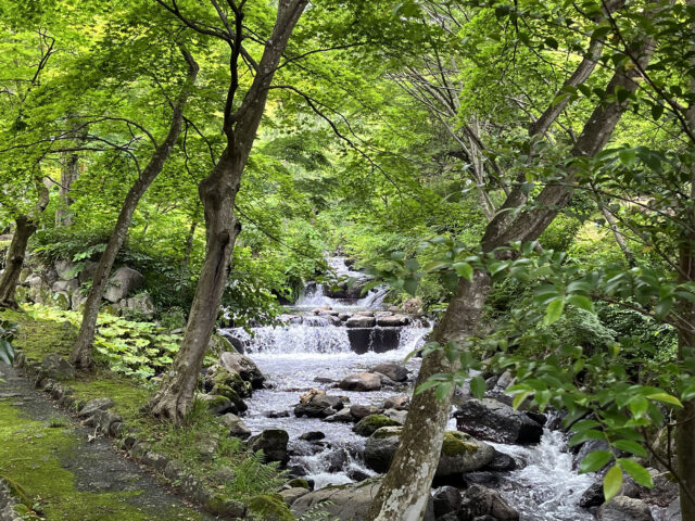 熱海梅園