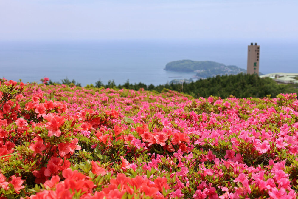 湯河原さつきの郷