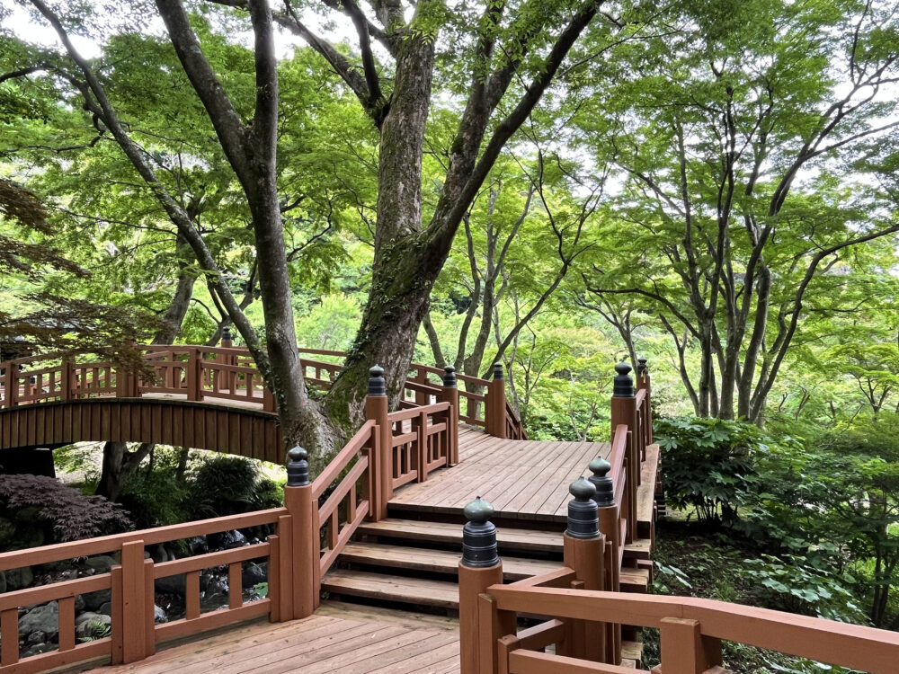 熱海梅園