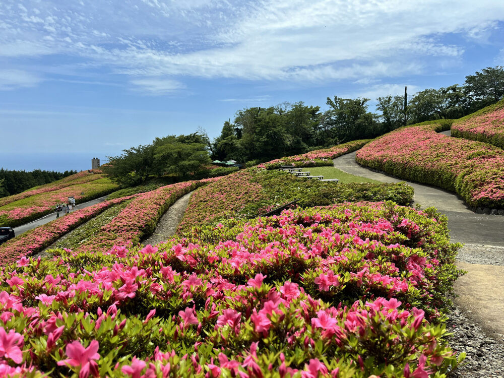 湯河原さつきの郷