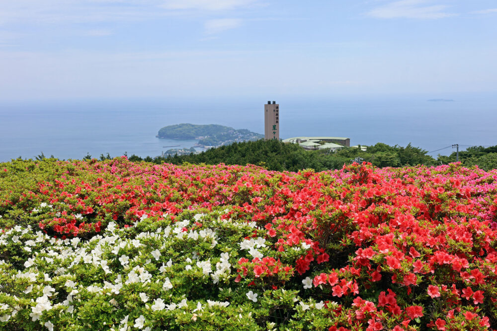 湯河原さつきの郷