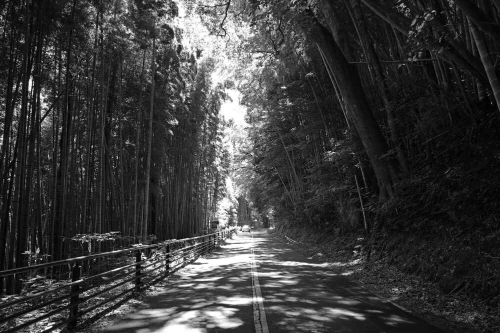 熱海 竹の沢