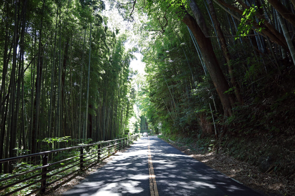 熱海 竹の沢