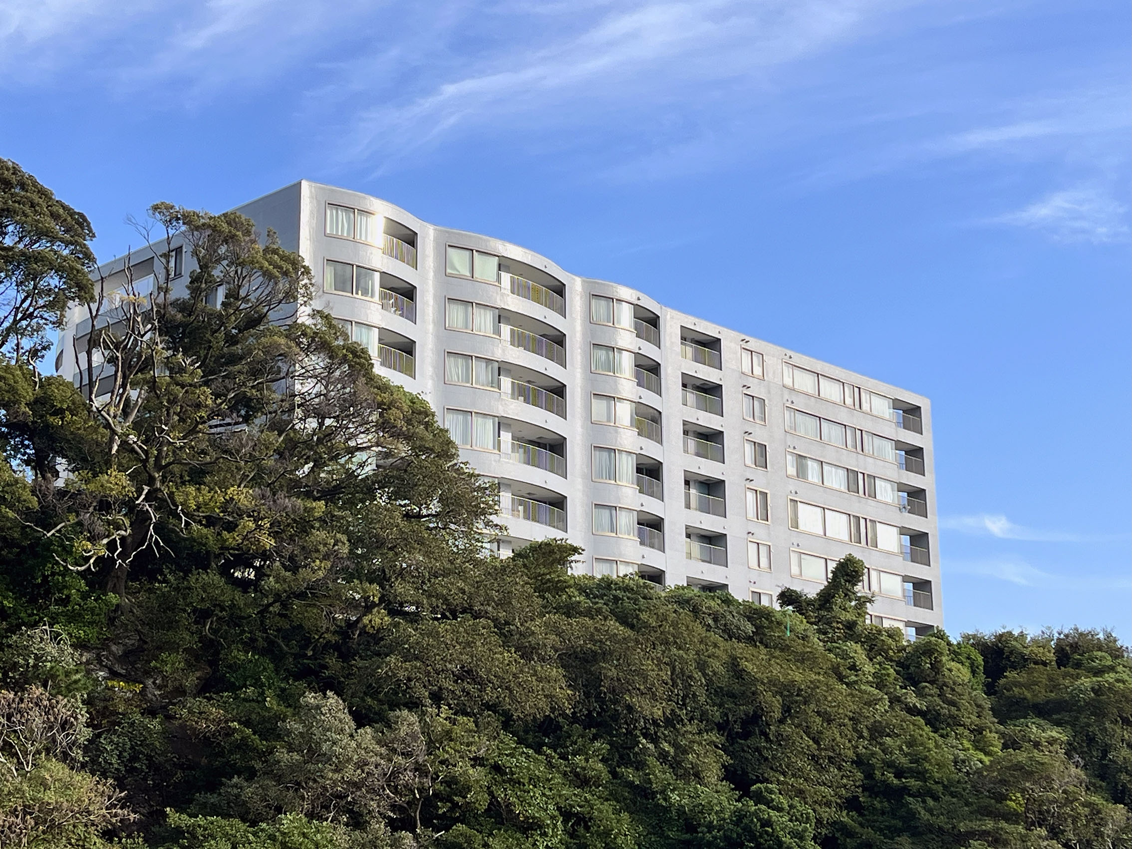 ここがイチオシ