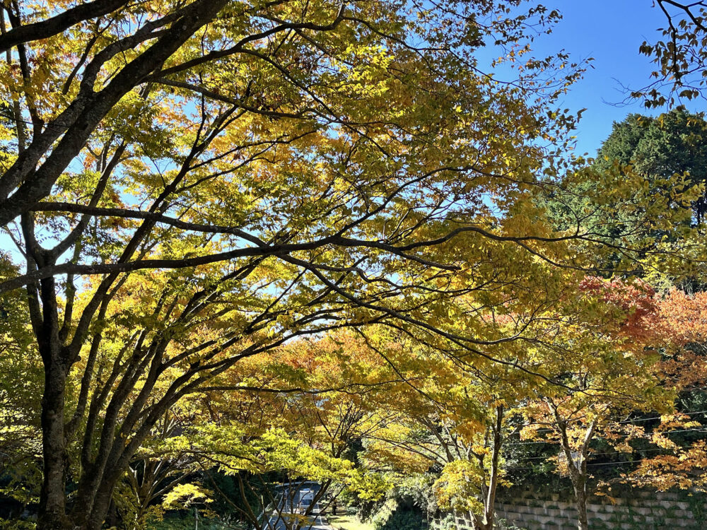 熱海 姫の沢公園