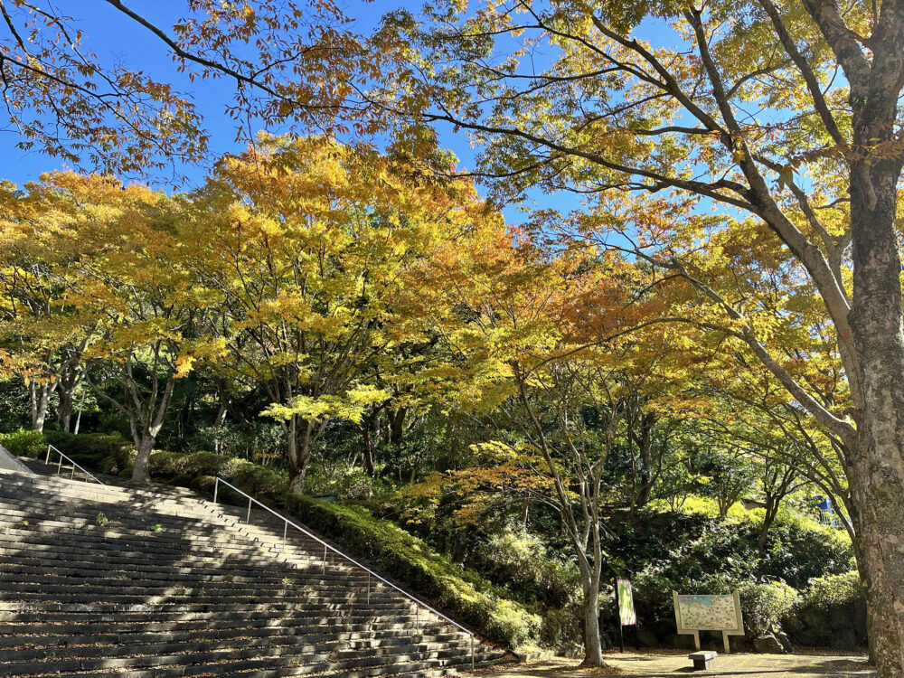 熱海 姫の沢公園