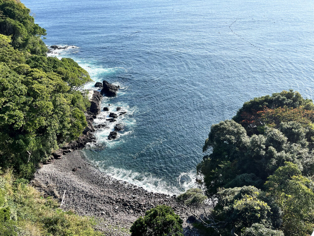 パーク・セレノ真鶴アスール