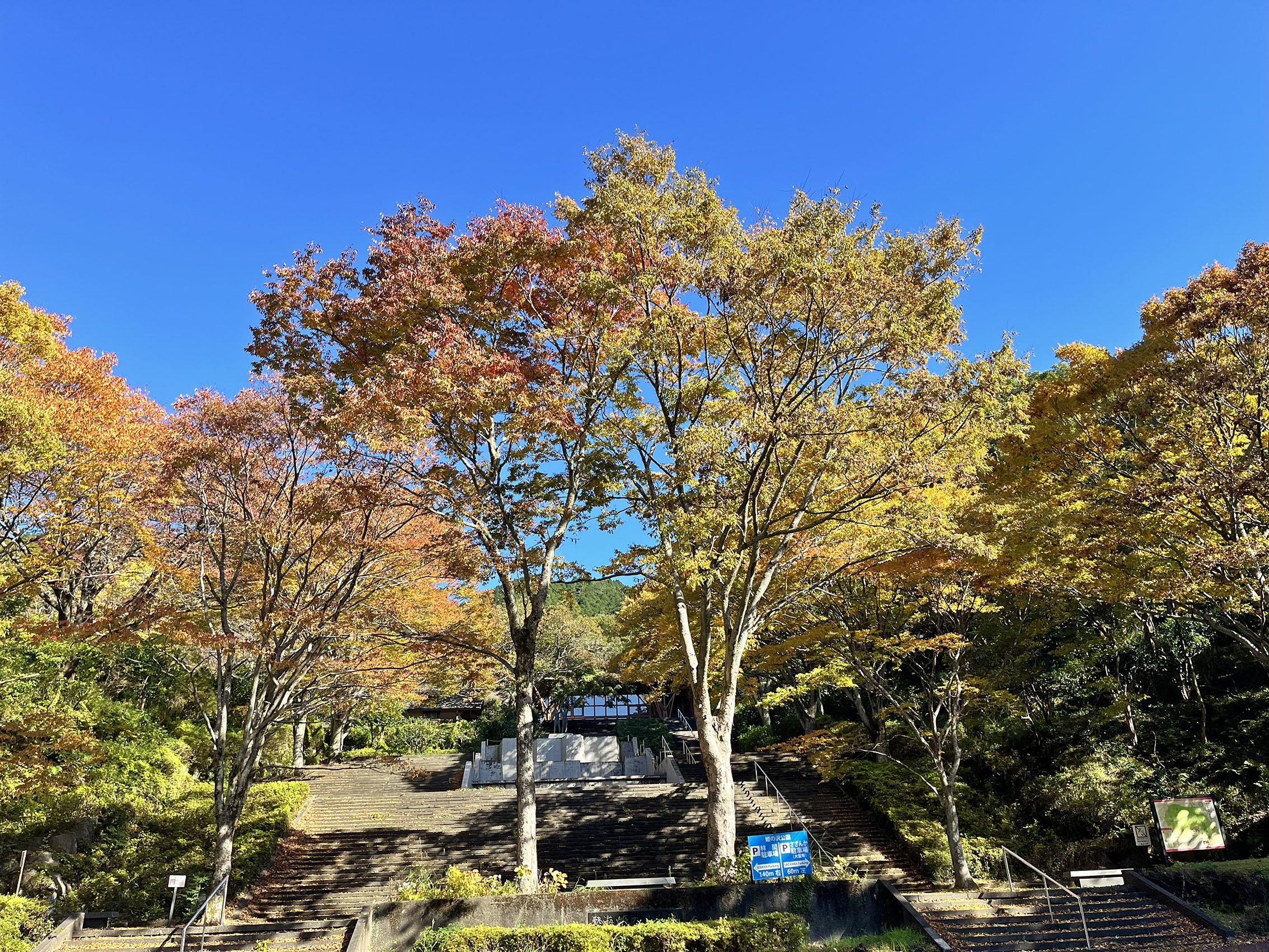 熱海 姫の沢公園