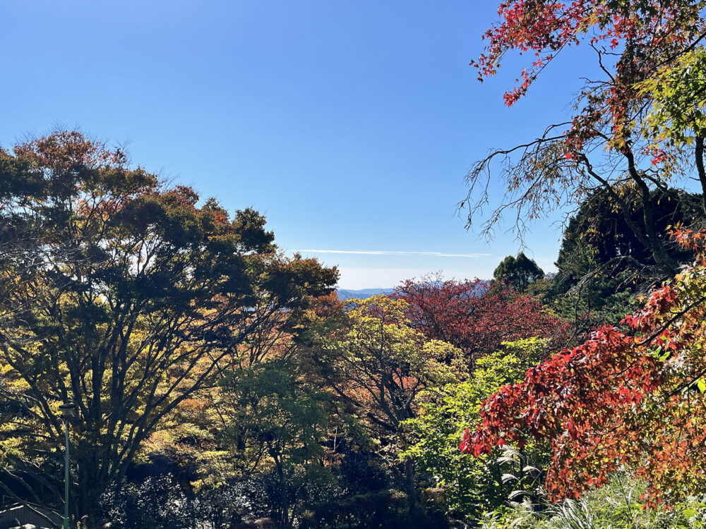 熱海 姫の沢公園