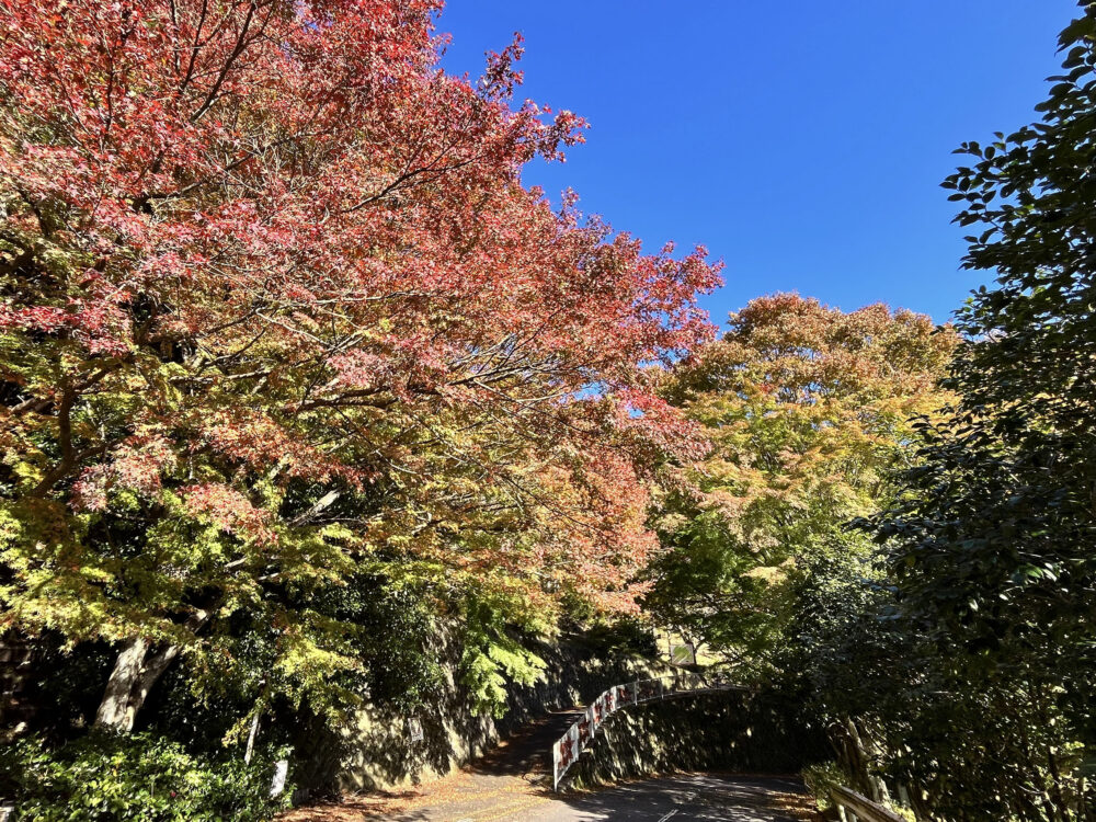 熱海 姫の沢公園