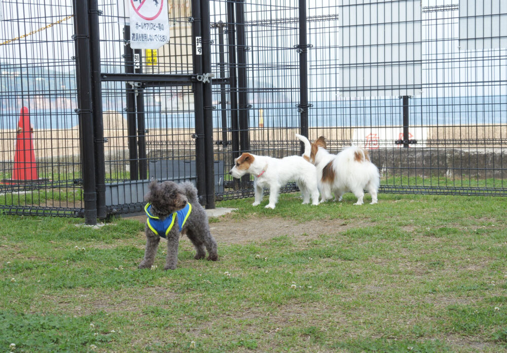 湯河原 海浜公園
