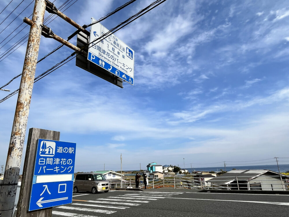 南房総市千倉町 白間津花畑