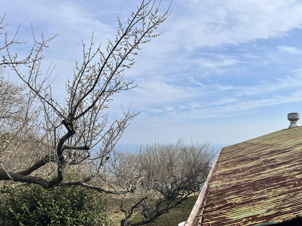 熱海市伊豆山売土地