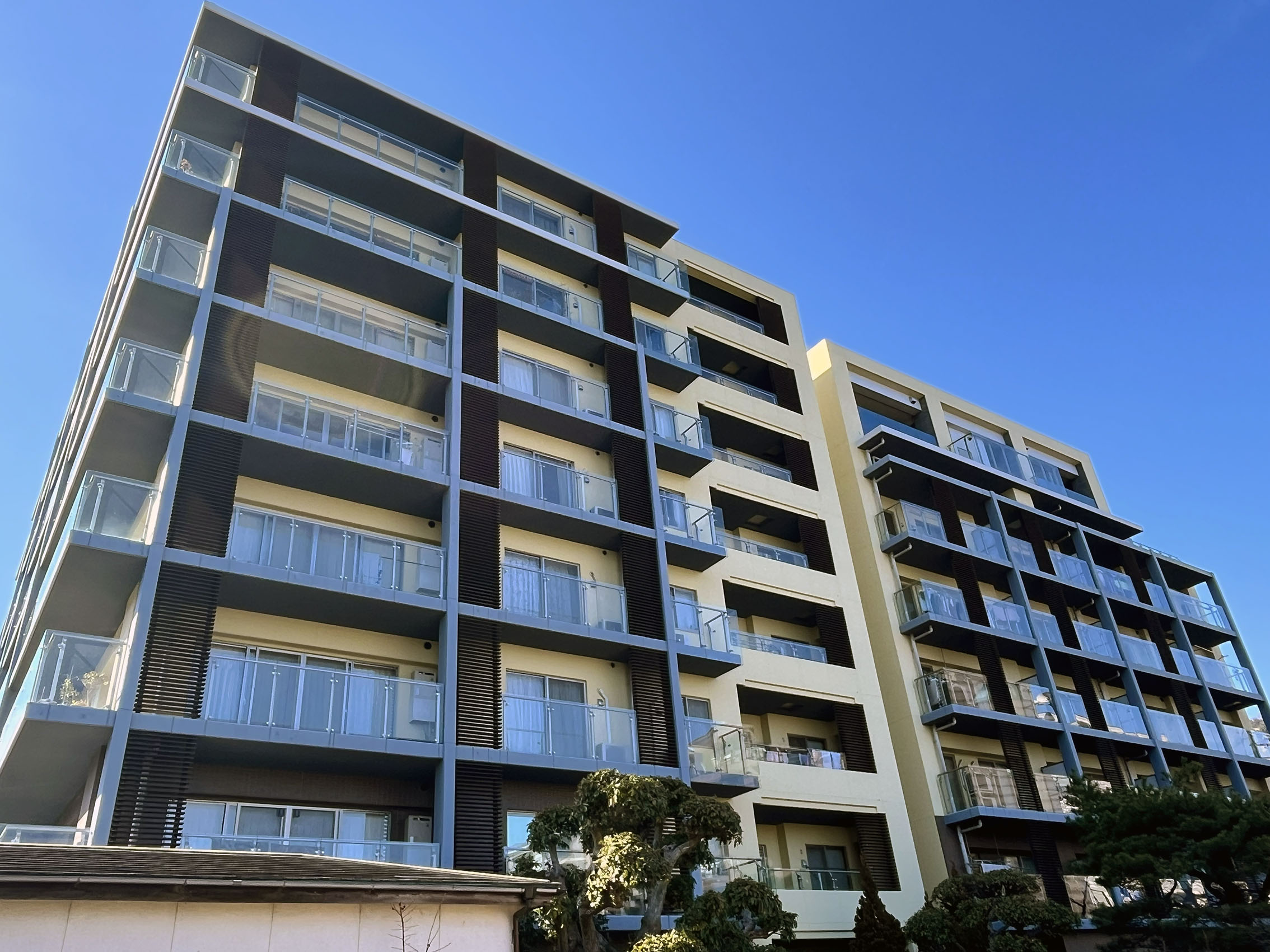 ここがイチオシ