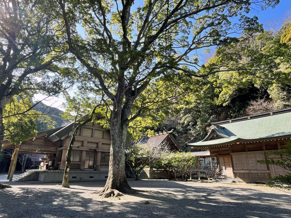 安房國一宮 安房神社