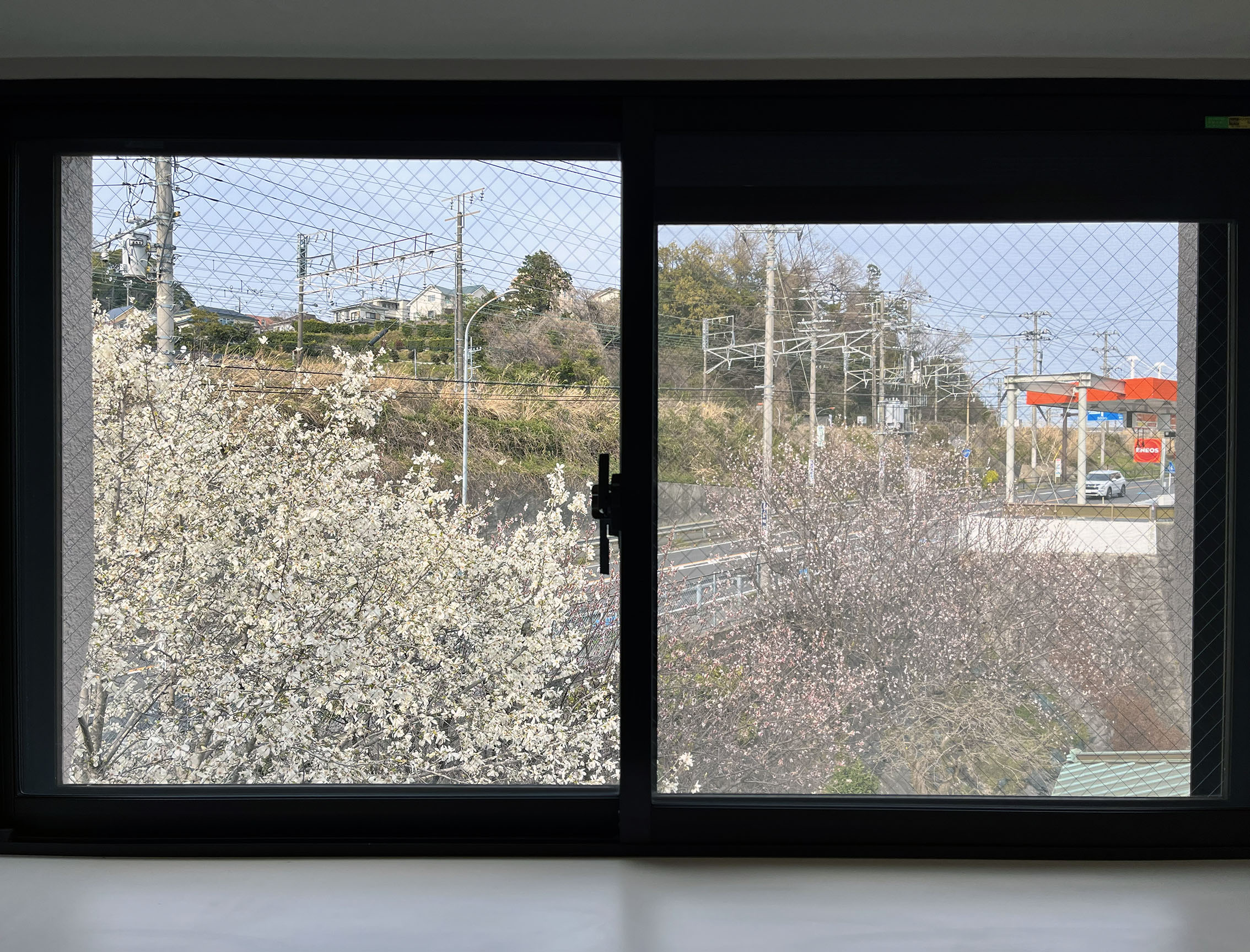 ここがイチオシ