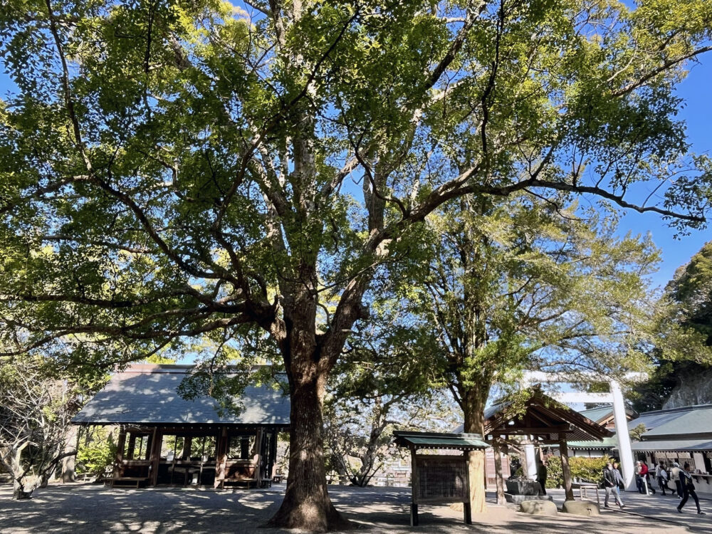 安房國一宮 安房神社