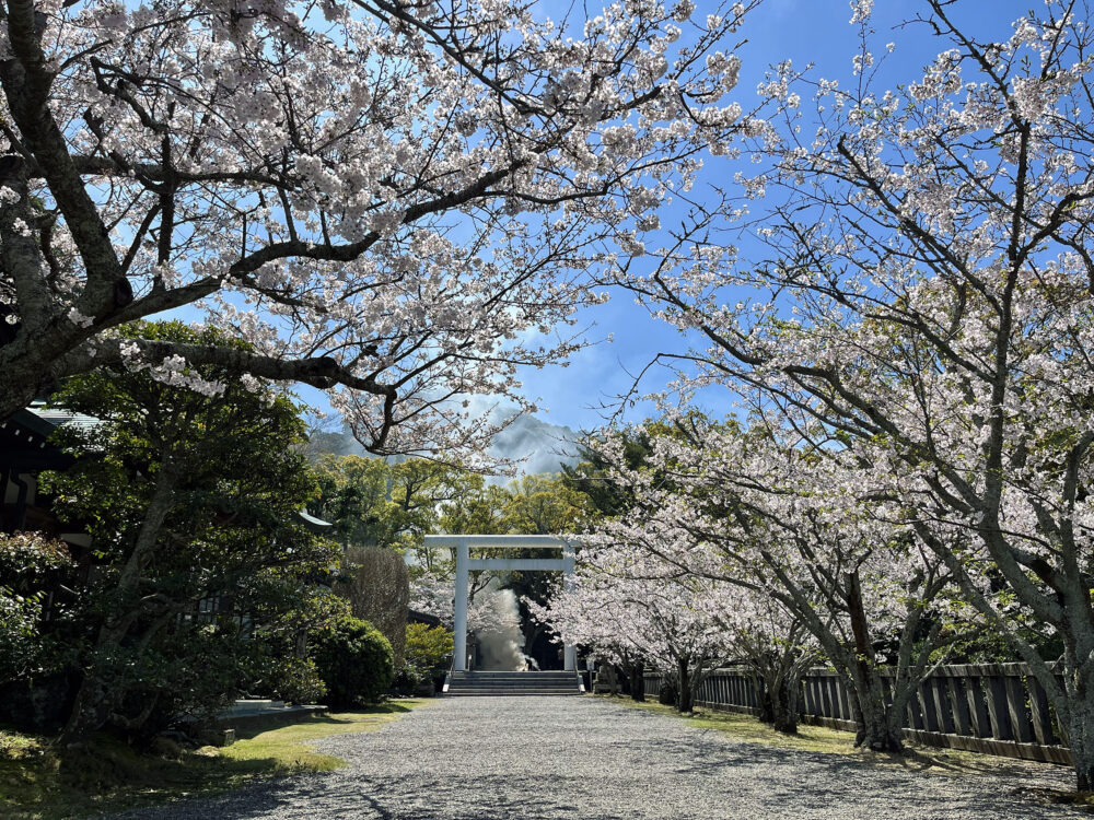 安房國一宮 安房神社