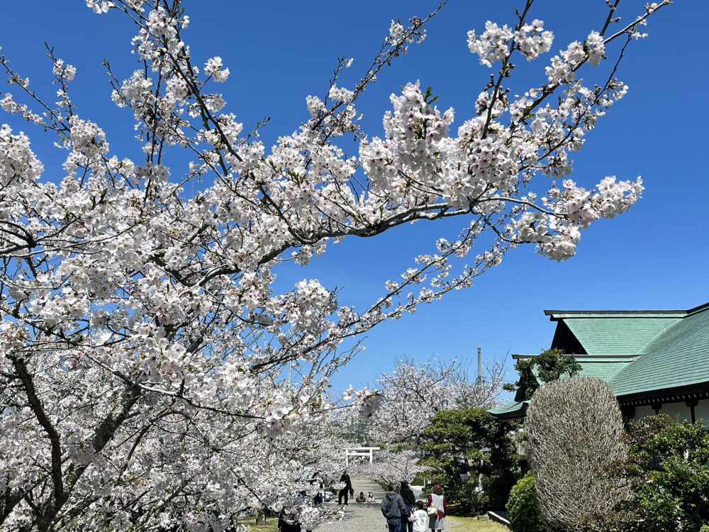 安房國一宮 安房神社