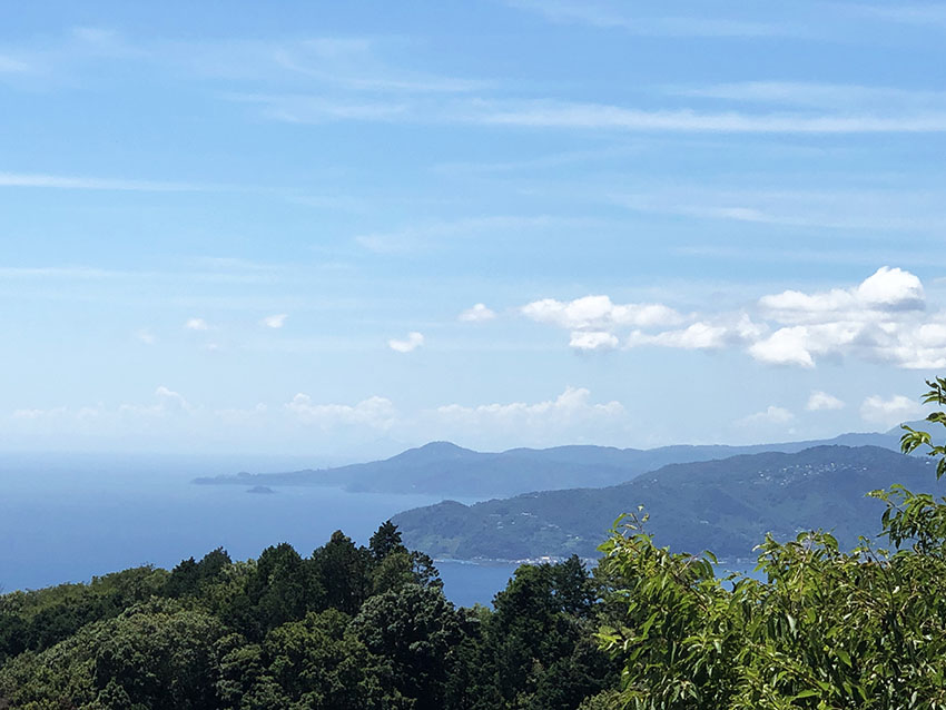 ルネ熱海伊豆山別荘地