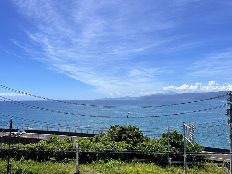 アデニウム真鶴